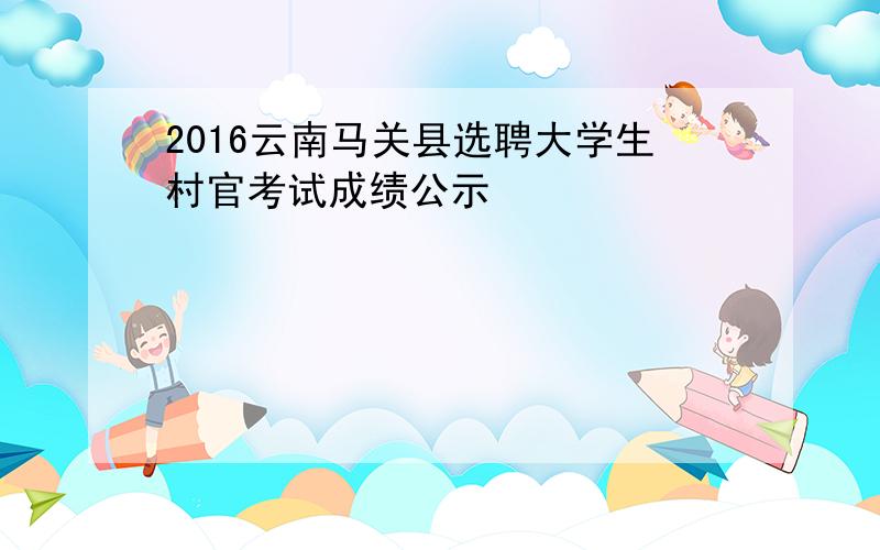 2016云南马关县选聘大学生村官考试成绩公示