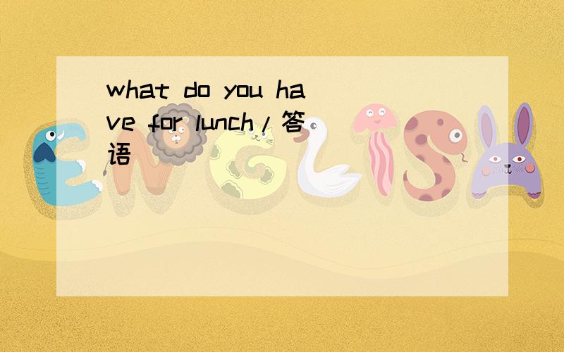 what do you have for lunch/答语