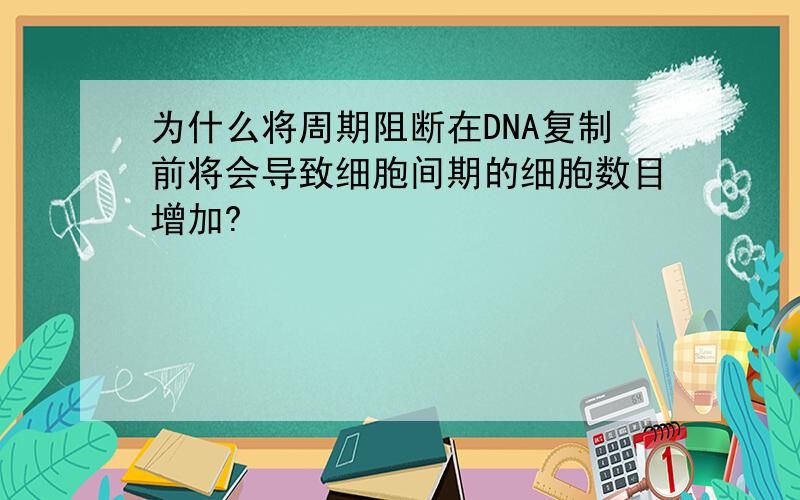 为什么将周期阻断在DNA复制前将会导致细胞间期的细胞数目增加?