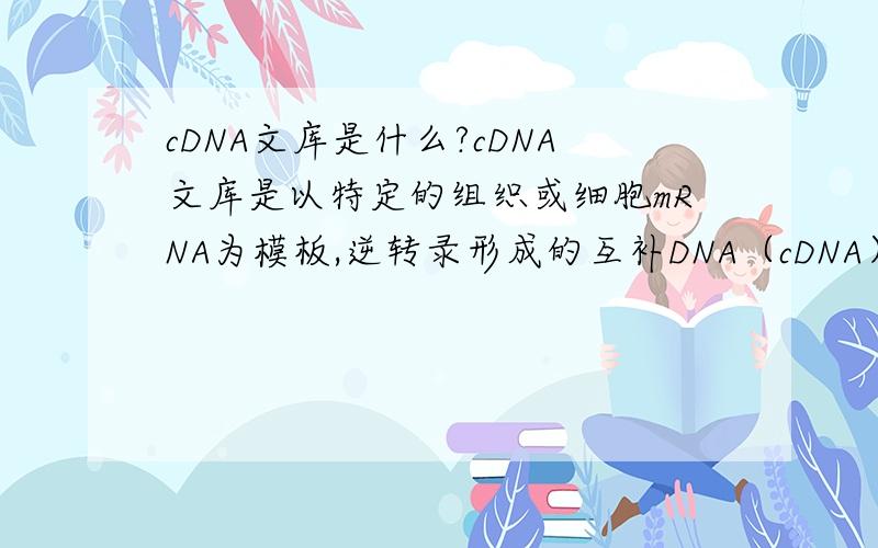 cDNA文库是什么?cDNA文库是以特定的组织或细胞mRNA为模板,逆转录形成的互补DNA（cDNA）与适当的载体（常用噬菌体或质粒载体）连接后转化受体菌形成重组DNA克隆群...为什么要称之为“重组DNA