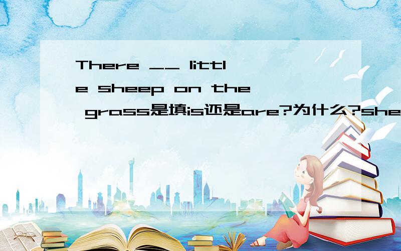There __ little sheep on the grass是填is还是are?为什么?sheep可数吗?不加s的话a little还是little?