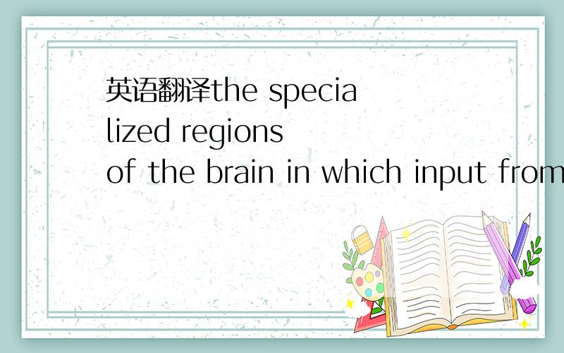 英语翻译the specialized regions of the brain in which input from the eyes is processed are reassigned to other duties
