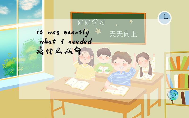 it was exactly what i needed是什么从句
