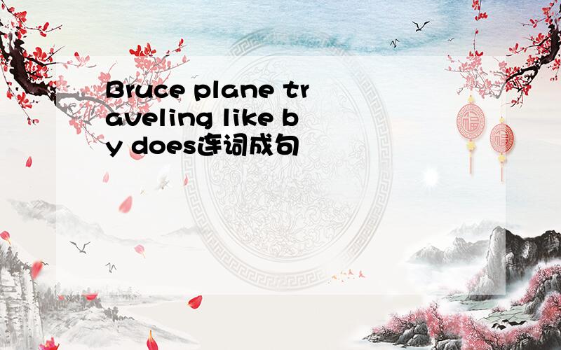 Bruce plane traveling like by does连词成句