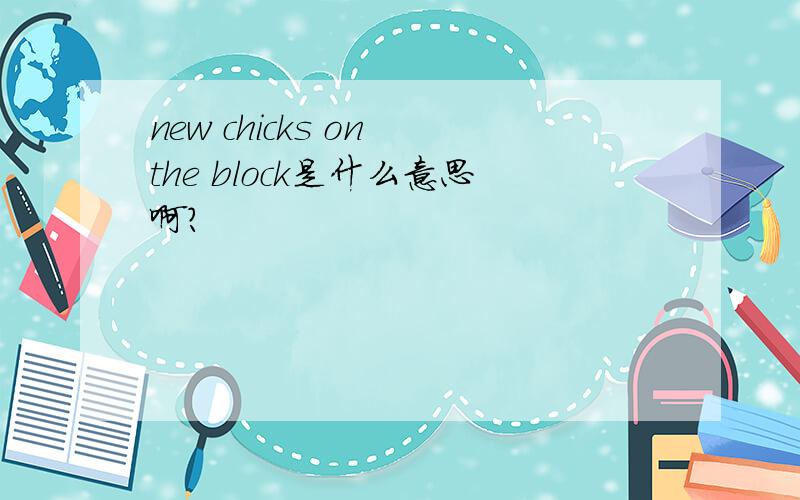 new chicks on the block是什么意思啊?