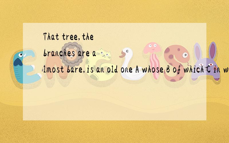 That tree,the branches are almost bare,is an old one A whose B of which C in which D on which答案老师说是B 但是先行词什么啊 为什么选B 从句是从哪到哪尽量把句子里包含的语法点 说的清楚点