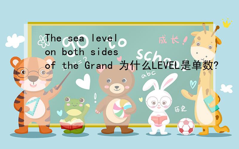 The sea level on both sides of the Grand 为什么LEVEL是单数?