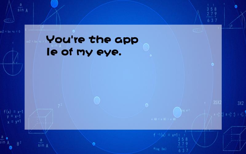 You're the apple of my eye.