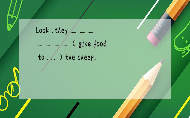 Look ,they _______(give food to ...)the sheep.