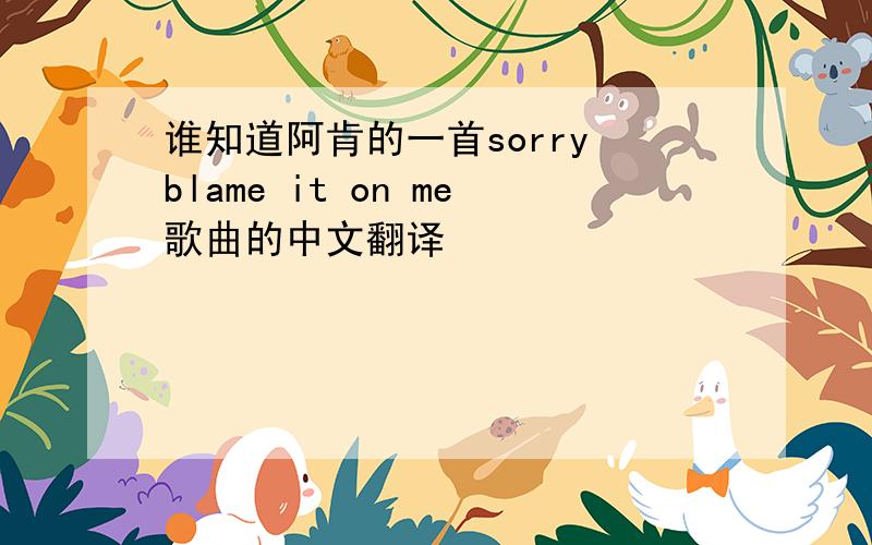 谁知道阿肯的一首sorry blame it on me歌曲的中文翻译