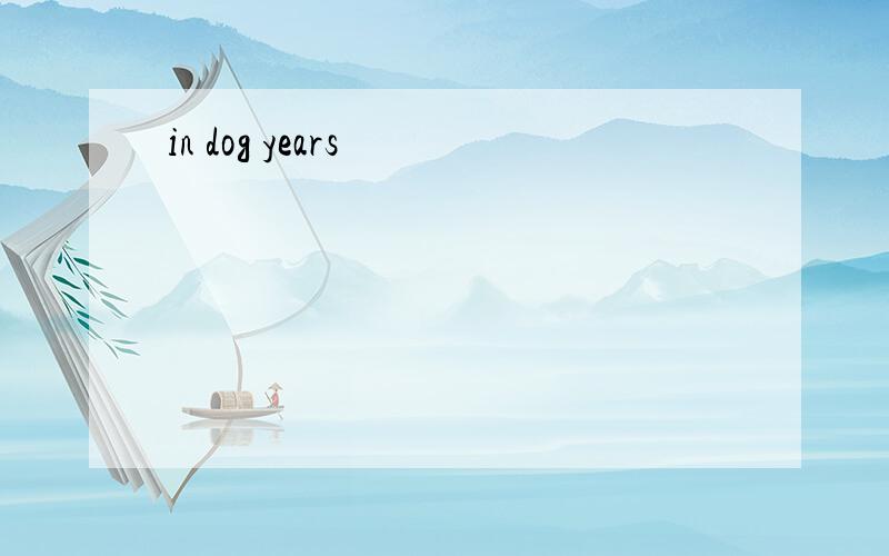 in dog years
