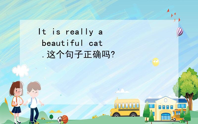 It is really a beautiful cat .这个句子正确吗?