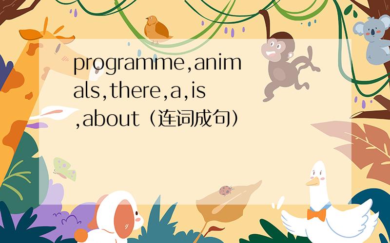 programme,animals,there,a,is,about（连词成句）