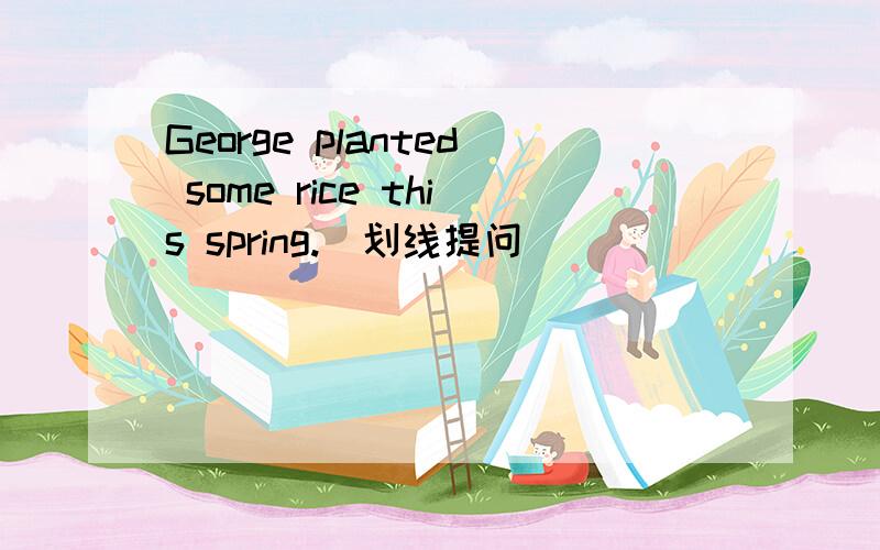 George planted some rice this spring.（划线提问）