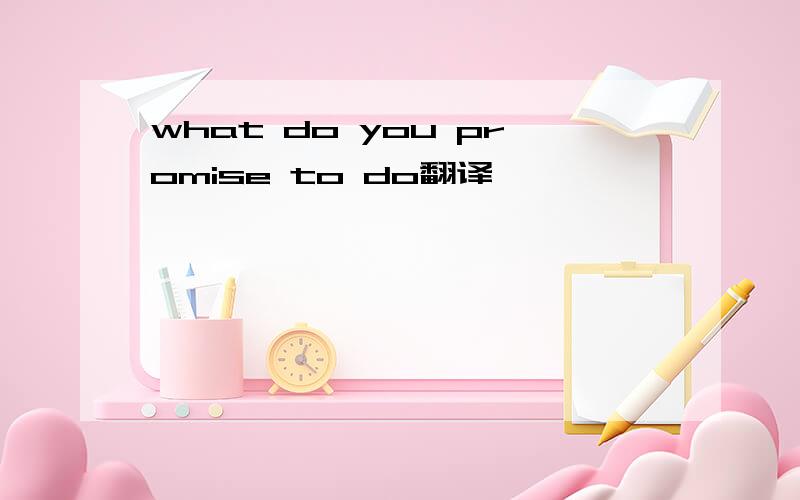 what do you promise to do翻译