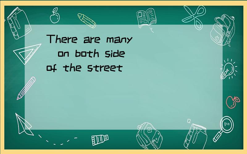 There are many_on both side of the street