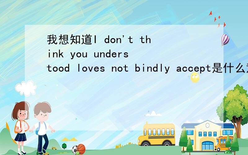 我想知道I don't think you understood loves not bindly accept是什么意思