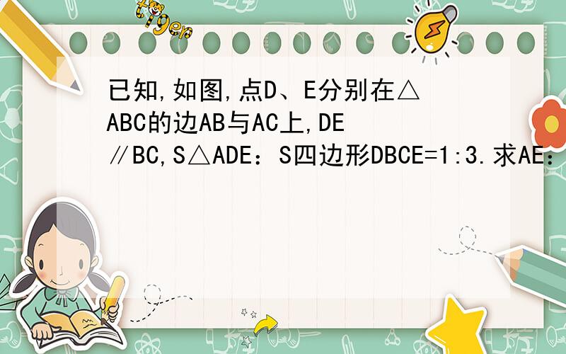 已知,如图,点D、E分别在△ABC的边AB与AC上,DE∥BC,S△ADE：S四边形DBCE=1:3.求AE：EC