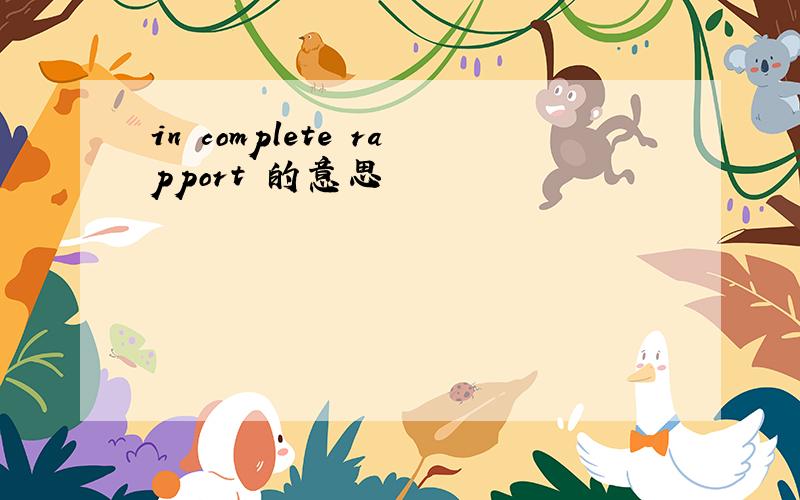 in complete rapport 的意思