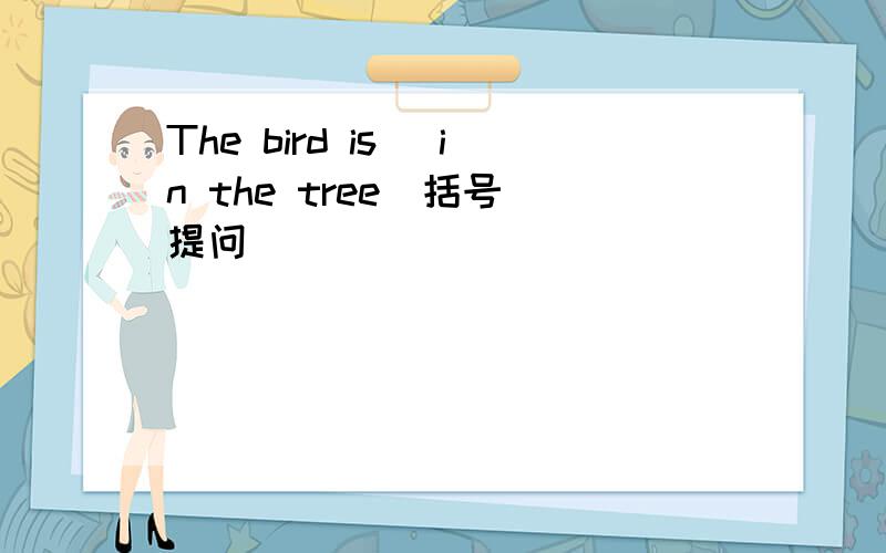 The bird is （in the tree）括号 提问