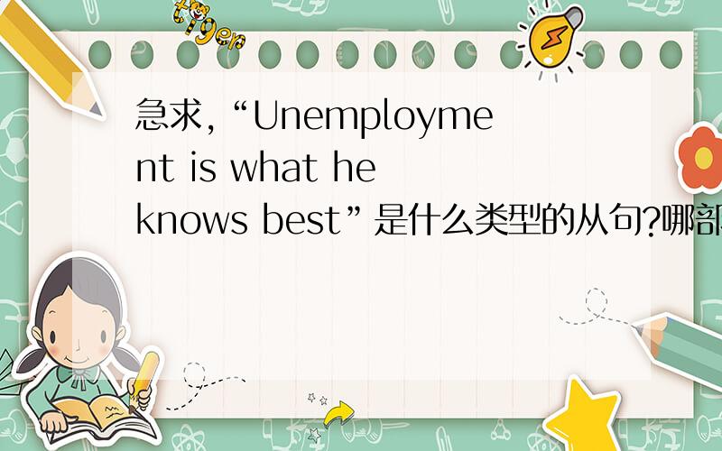 急求,“Unemployment is what he knows best”是什么类型的从句?哪部分是主句?哪部分是从句?