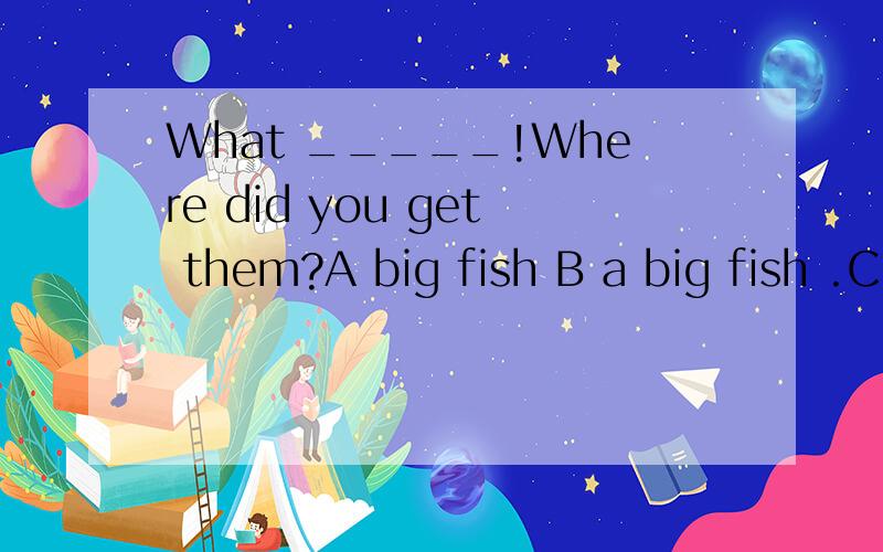 What _____!Where did you get them?A big fish B a big fish .C a piece of big fish D big a fish