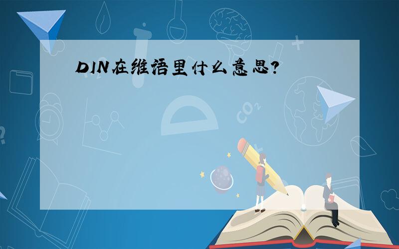 DIN在维语里什么意思?