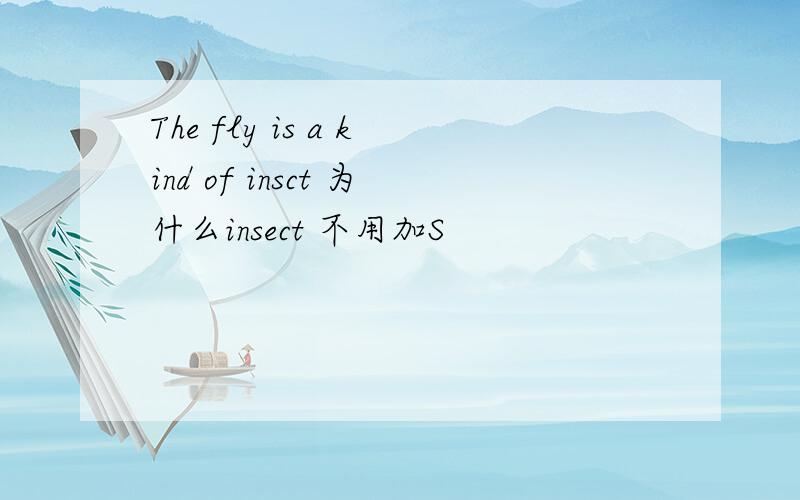 The fly is a kind of insct 为什么insect 不用加S