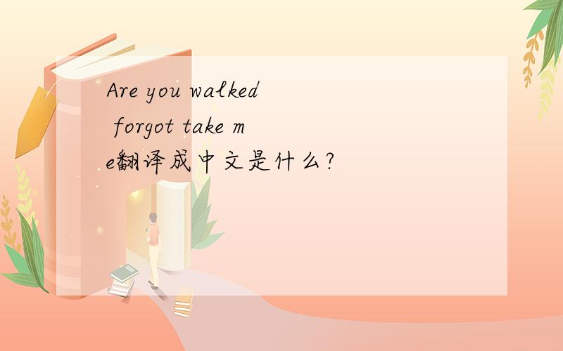 Are you walked forgot take me翻译成中文是什么?
