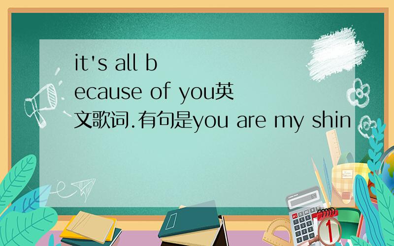 it's all because of you英文歌词.有句是you are my shin