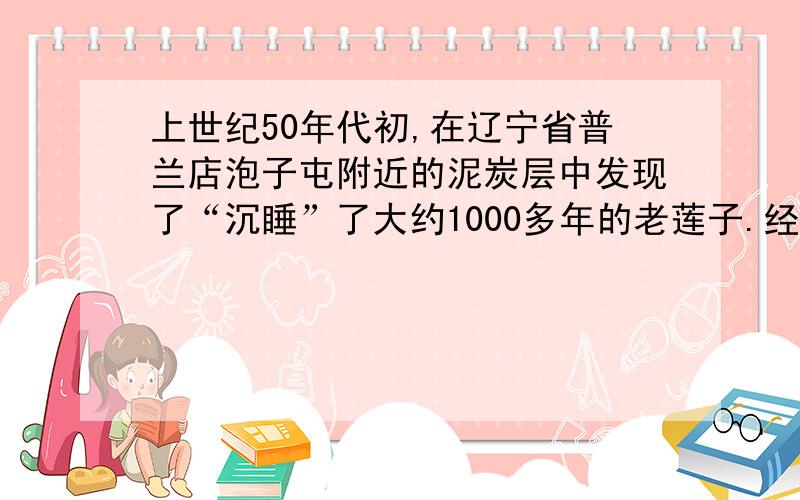 上世纪50年代初,在辽宁省普兰店泡子屯附近的泥炭层中发现了“沉睡”了大约1000多年的老莲子.经人工处理、种植,在第三年开出了粉红的荷花,你能解释一下为什么千年莲子还有生命力吗?