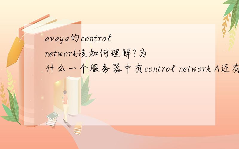 avaya的control network该如何理解?为什么一个服务器中有control network A还有control network corporate LAN interface又是干什么用的?