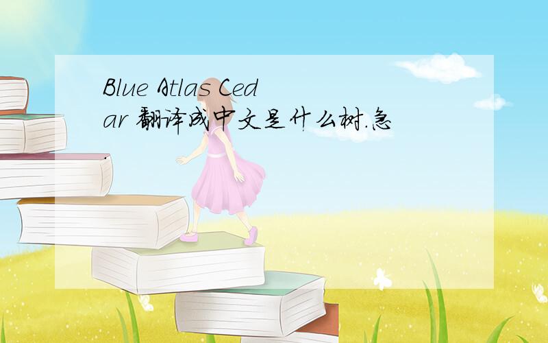 Blue Atlas Cedar 翻译成中文是什么树.急.