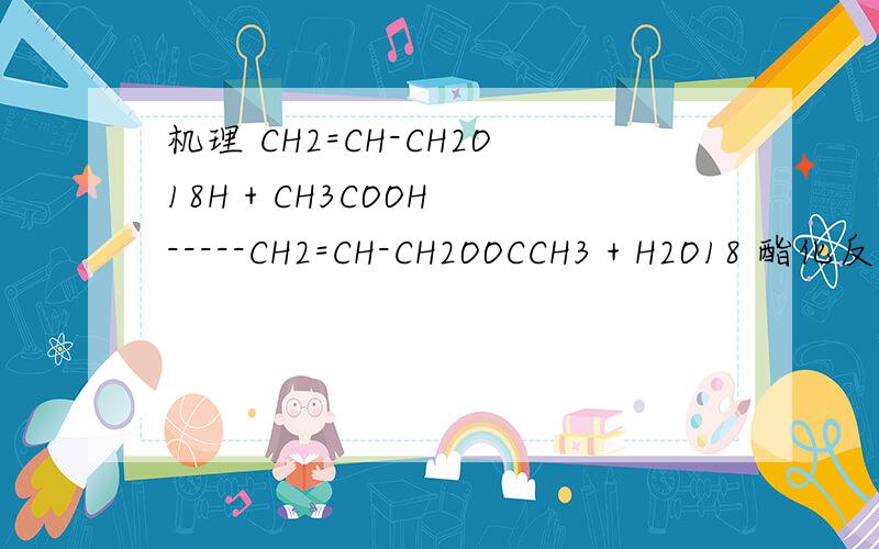 机理 CH2=CH-CH2O18H + CH3COOH -----CH2=CH-CH2OOCCH3 + H2O18 酯化反应给出此反应的反应机理