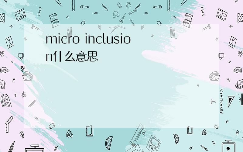 micro inclusion什么意思