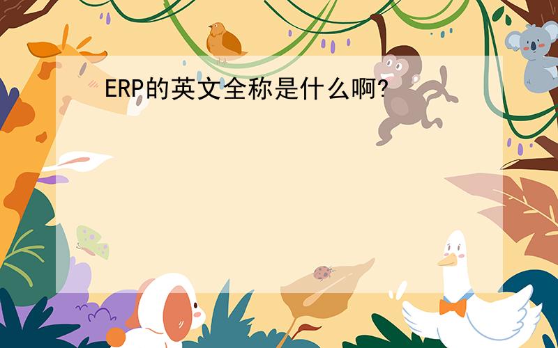 ERP的英文全称是什么啊?
