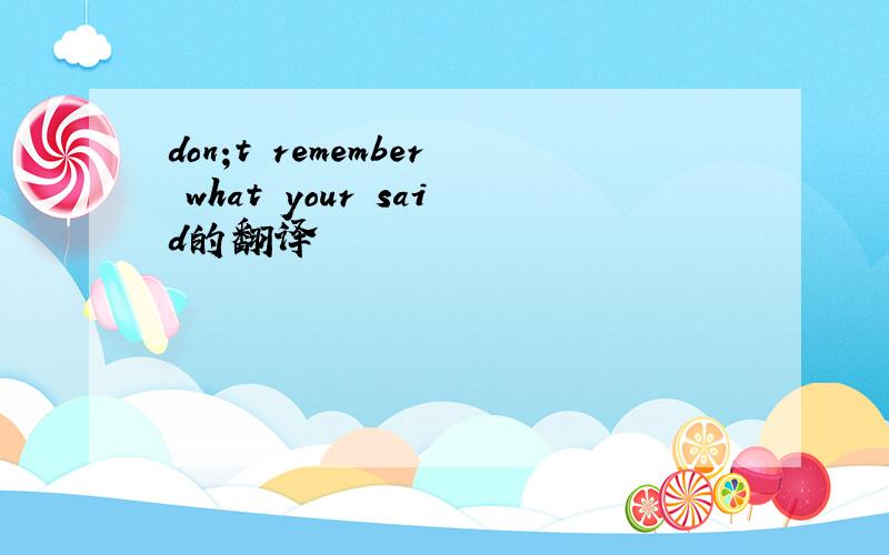 don;t remember what your said的翻译