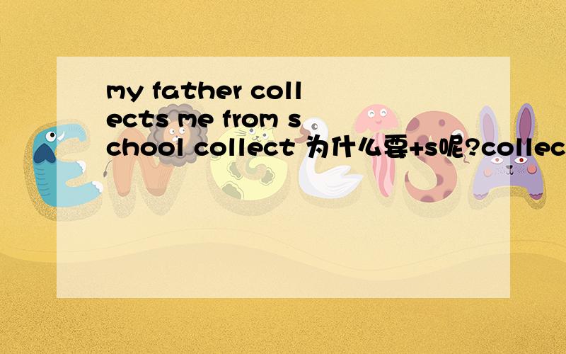 my father collects me from school collect 为什么要+s呢?collect 为什么要+s呢?