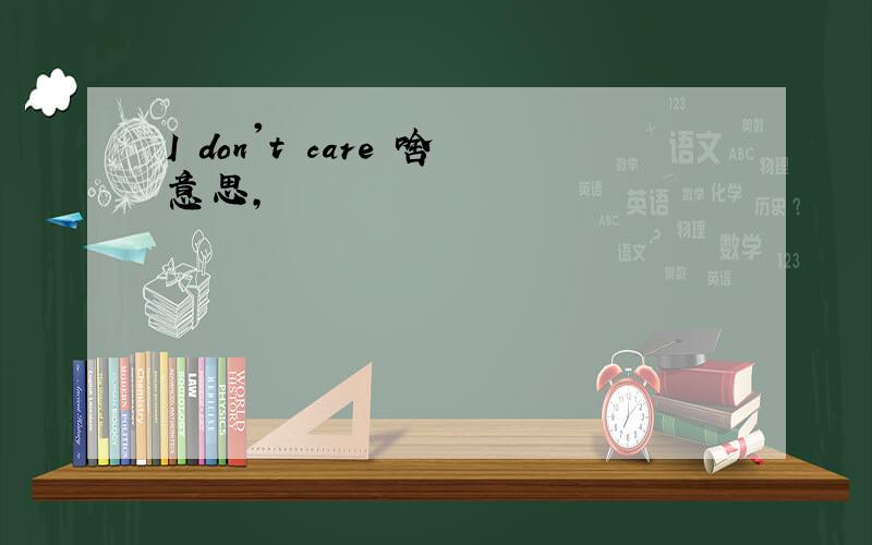 I don't care 啥意思,