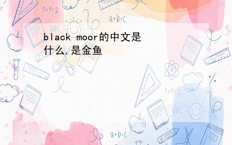 black moor的中文是什么,是金鱼