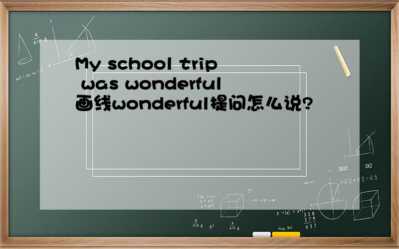My school trip was wonderful画线wonderful提问怎么说?