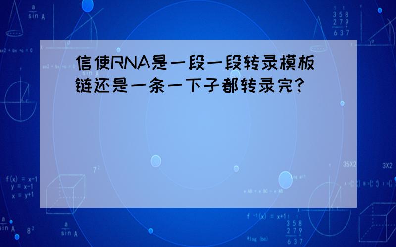 信使RNA是一段一段转录模板链还是一条一下子都转录完?