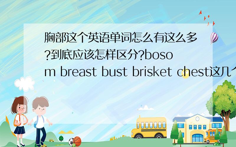 胸部这个英语单词怎么有这么多?到底应该怎样区分?bosom breast bust brisket chest这几个单词的意思都有胸部的意思,那怎么运用这几个词?他们之间都有什么不同?