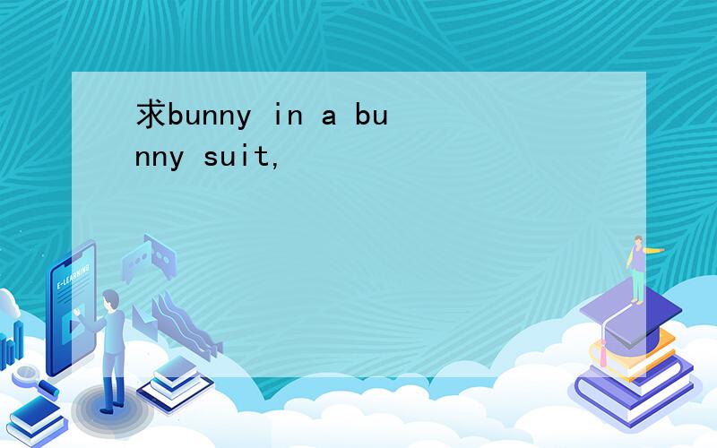 求bunny in a bunny suit,