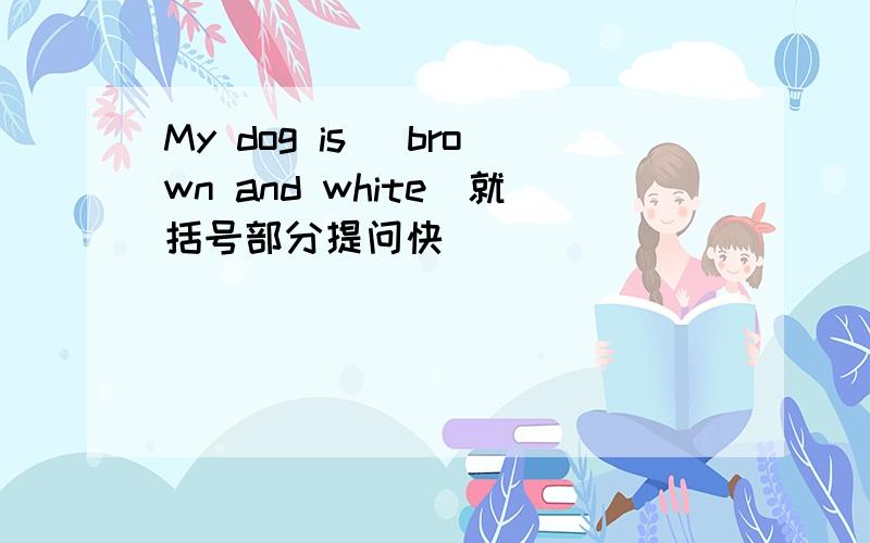 My dog is (brown and white)就括号部分提问快