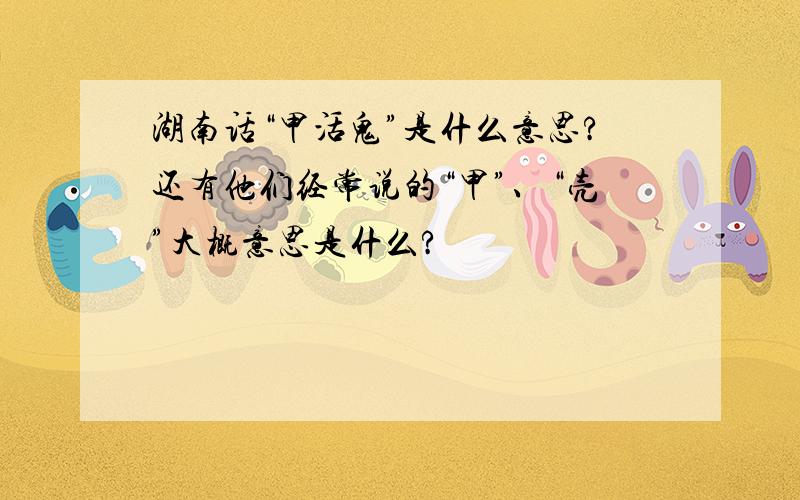 湖南话“甲活鬼”是什么意思?还有他们经常说的“甲”、“壳”大概意思是什么?