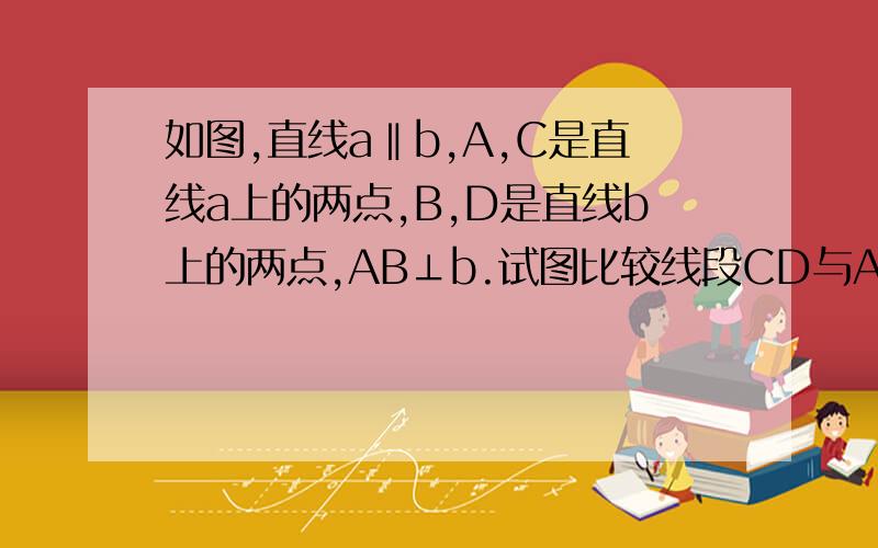 如图,直线a‖b,A,C是直线a上的两点,B,D是直线b上的两点,AB⊥b.试图比较线段CD与AB的长短,并说明理由