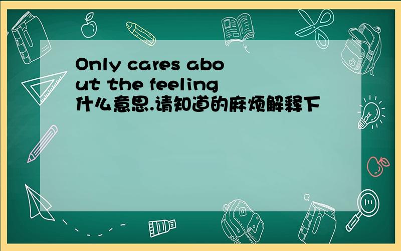 Only cares about the feeling什么意思.请知道的麻烦解释下