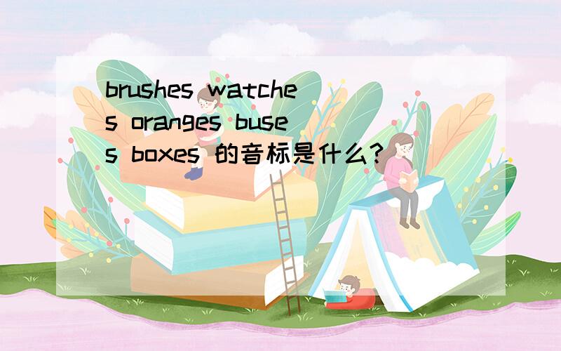 brushes watches oranges buses boxes 的音标是什么?