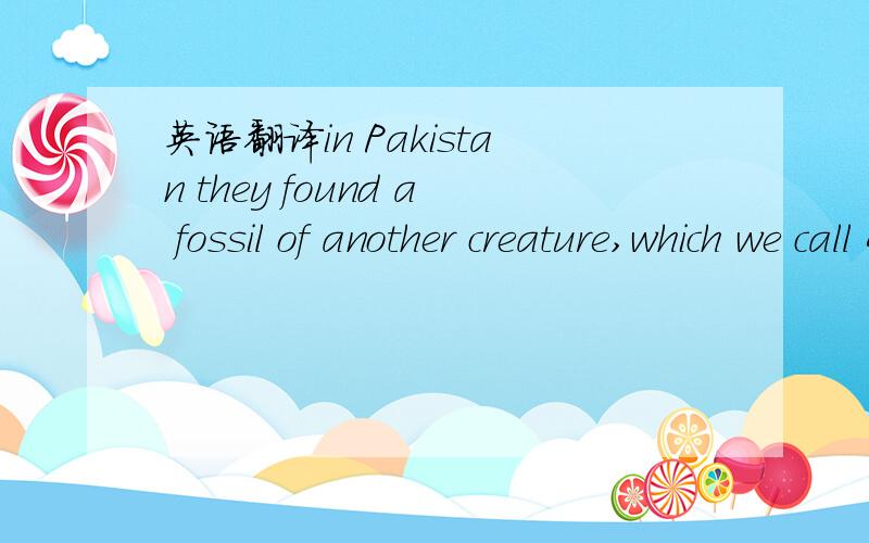 英语翻译in Pakistan they found a fossil of another creature,which we call Ambulocetus natans That’s muffle lay.